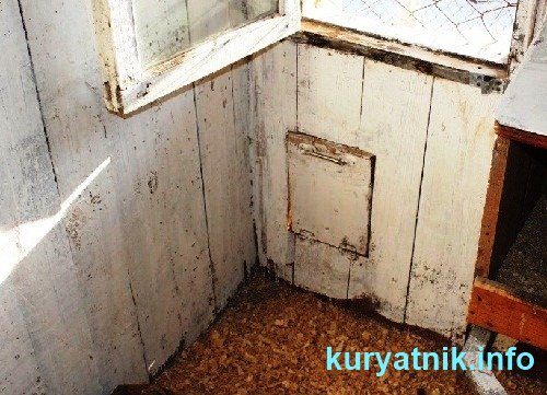 Как обустроить курятник Как обустроить курятник