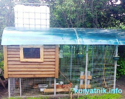 Подборка фото строительства курятников своими руками