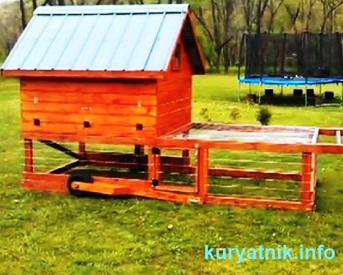 Подборка фото строительства курятников своими руками