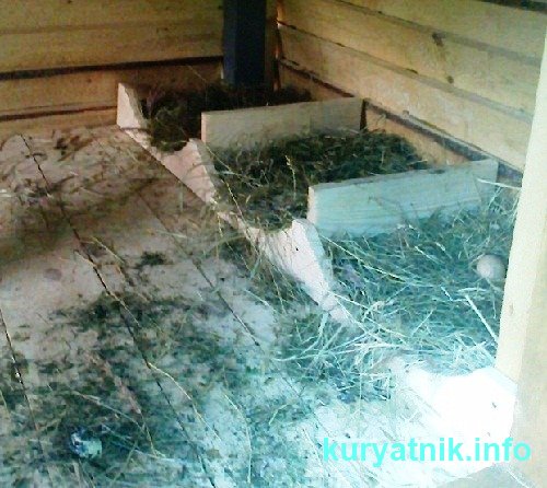 Подборка фото строительства курятников своими руками