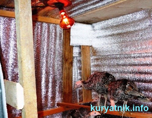 Подборка фото строительства курятников своими руками