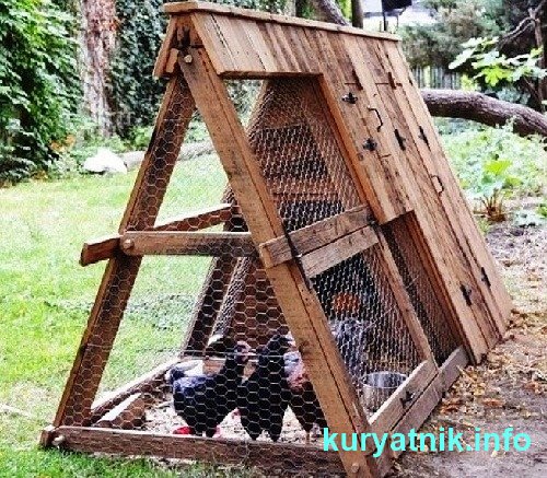 Подборка фото строительства курятников своими руками