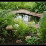 Как сделать пруд на даче, в саду, возле дома Как сделать пруд на даче, в саду, возле дома