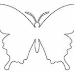 Трафареты бабочек для декора