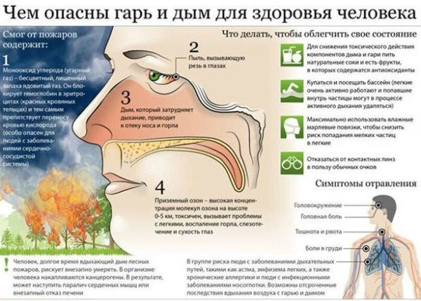 Дымоходы и вентиляция: опасность, эксплуатация и профилактика Дымоходы и вентиляция: опасность, эксплуатация и профилактика