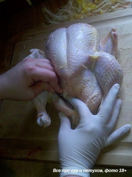 Как ощипать и разделать курицу в домашних условиях