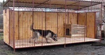 Все что нужно знать о том как правильно построить курятник