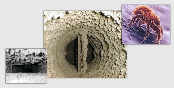 Вентиляция воздуха: все, что необходимо знать