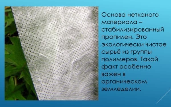 Укрывные материалы для грядок – помощники садовода и огородника