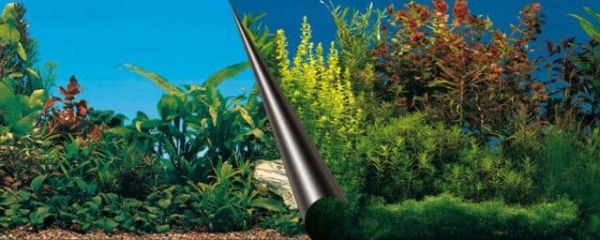 Как наклеить фон на аквариум в домашних условиях