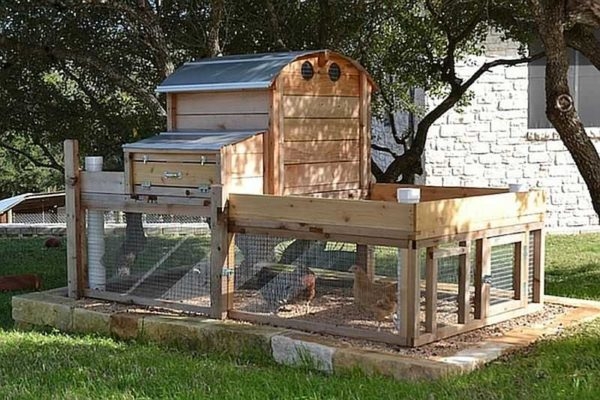 Как построить птичник на 10-20 кур своими руками