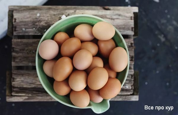 Самые распространенные заблуждения о яйцах