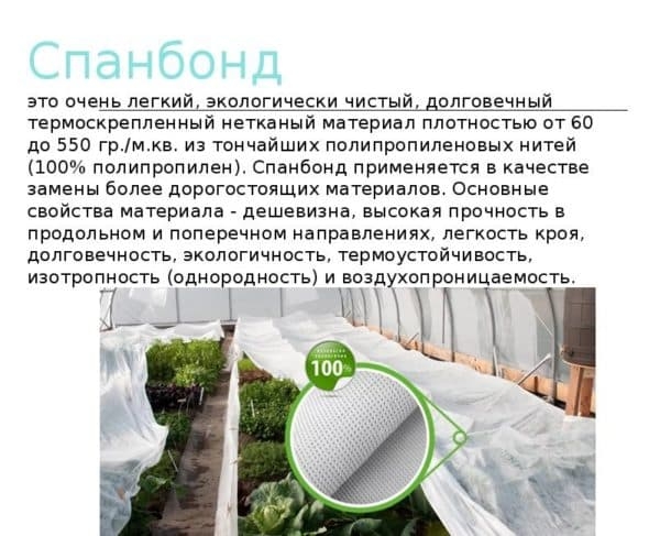 Что такое спанбонд: свойства и применение Что такое спанбонд: свойства и применение