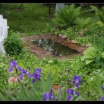 Как сделать пруд на даче, в саду, возле дома Как сделать пруд на даче, в саду, возле дома