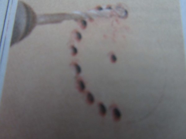 Естественная вентиляция в частном доме: особенности обустройства Естественная вентиляция в частном доме: особенности обустройства