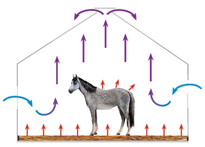Вентиляция фермы – необходимость, виды и дополнительные условия работы Вентиляция фермы – необходимость, виды и дополнительные условия работы
