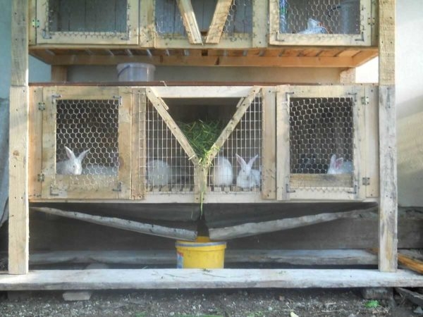 Как сделать крольчатник Как сделать крольчатник