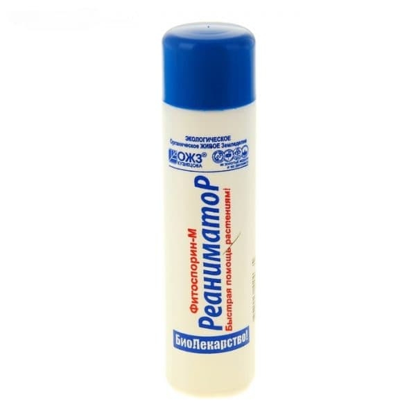 Обработка смородины Фитоспорином: инструкцию по применению Обработка смородины Фитоспорином: инструкцию по применению