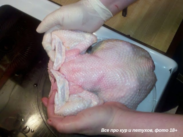 Как ощипать и разделать курицу в домашних условиях