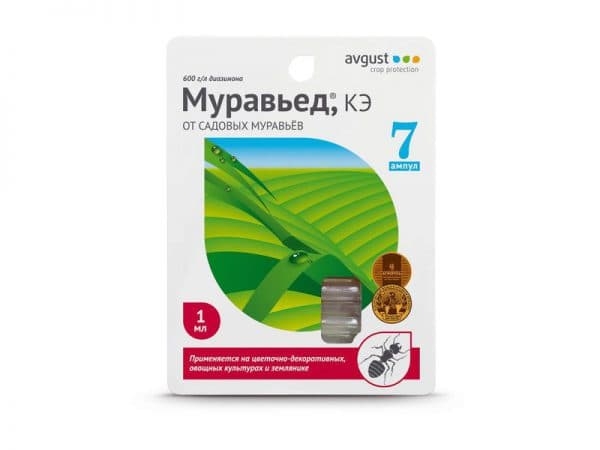 Чем опасно дупло в яблоне и как его заделать