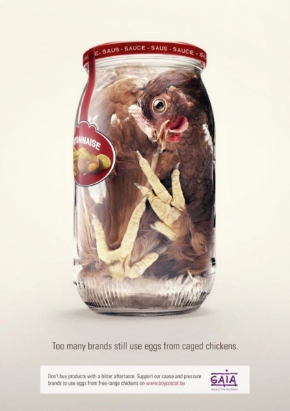 Куры в рекламе и рекламные ролики с участием курицы