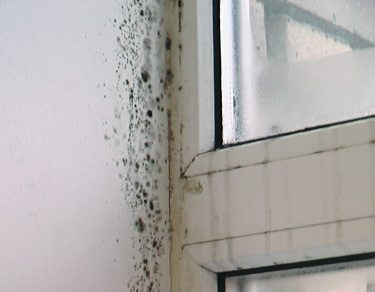 Клапан приточной вентиляции – дышим полной грудью