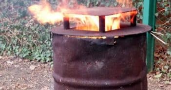 Как и чем кормить карасей в домашнем пруду?