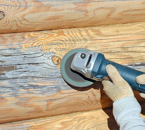 Синева на дереве: причины появления, опасность, методы избавления Синева на дереве: причины появления, опасность, методы избавления