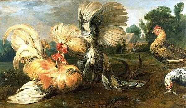 Петух и курица в народном творчестве