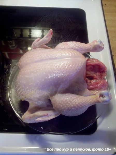 Как ощипать и разделать курицу в домашних условиях