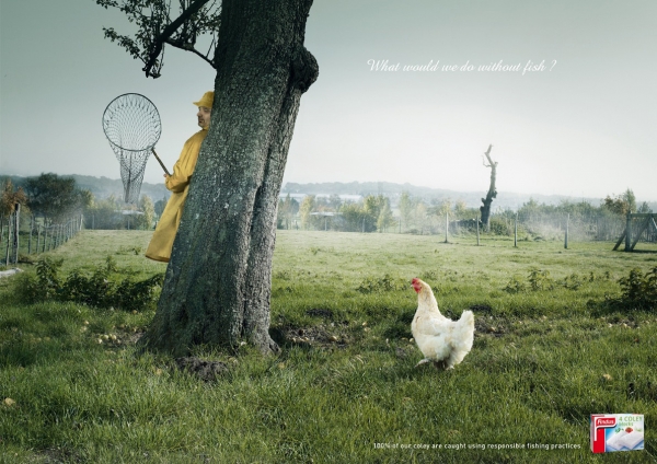 Куры в рекламе и рекламные ролики с участием курицы