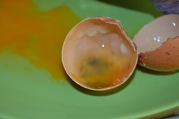 Как проверить яйца на свежесть – способы и видео