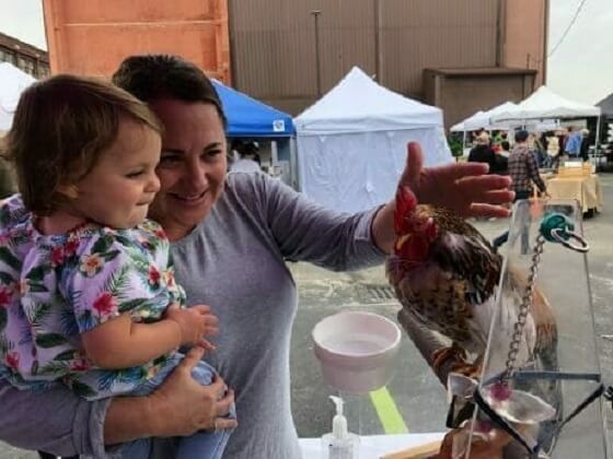 Петух Уинстон первый сертифицированный терапевт