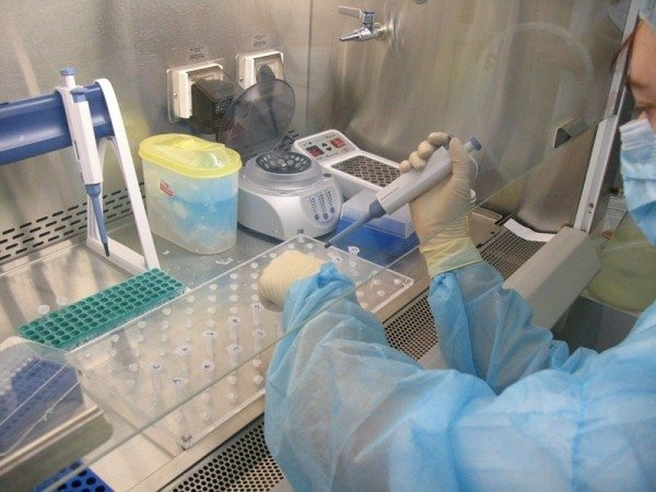 Дезинфекция вентиляционных систем: необходимость проведения и актуальные методики Дезинфекция вентиляционных систем: необходимость проведения и актуальные методики