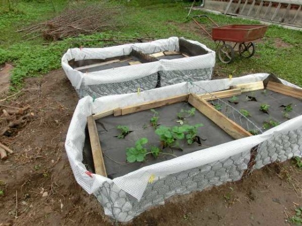 Высокие грядки: как и из чего сделать Высокие грядки: как и из чего сделать