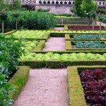 Основы ландшафтного дизайна для самостоятельного проектирования