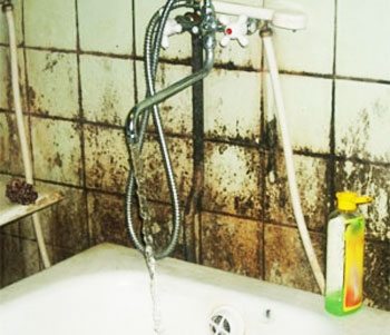 Как выбрать вентилятор для ванной: обзор вариантов, особенности монтажа и полезные советы