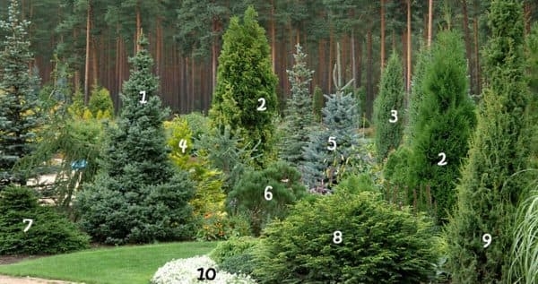 Принципы пейзажного стиля в ландшафтном дизайне