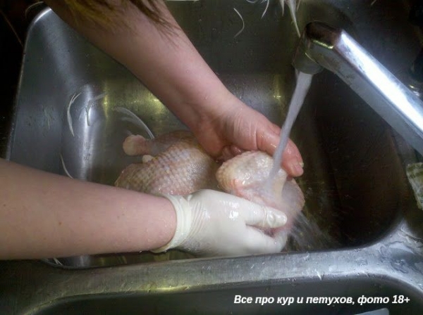 Как ощипать и разделать курицу в домашних условиях