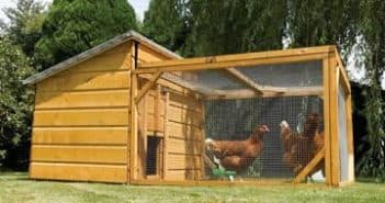 Шпалера для малины: аккуратно, эстетично, продуктивно