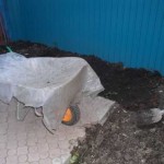 Как сделать пруд на даче, в саду, возле дома Как сделать пруд на даче, в саду, возле дома