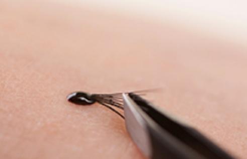 Как приклеить пучковые ресницы в домашних условиях Как приклеить пучковые ресницы в домашних условиях