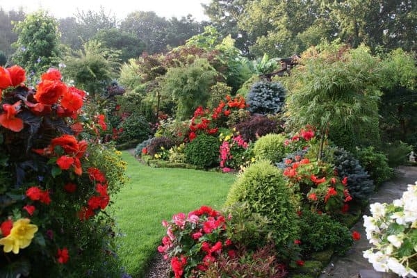 Принципы пейзажного стиля в ландшафтном дизайне