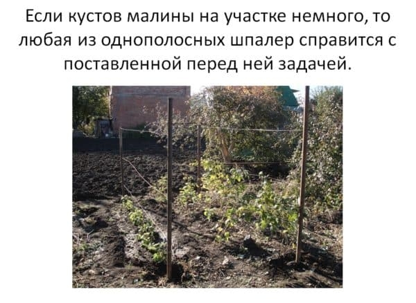 Шпалера для малины: аккуратно, эстетично, продуктивно