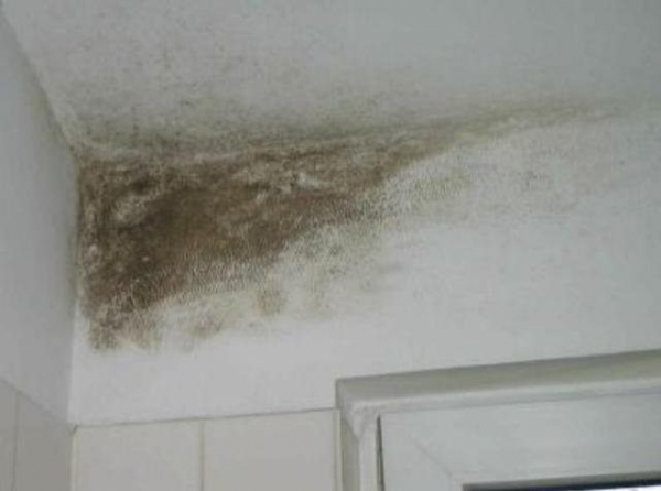 Как сделать вентиляцию в квартире наиболее эффективной