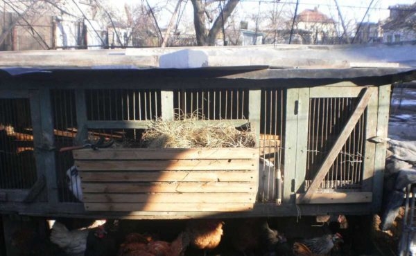 Как сделать крольчатник Как сделать крольчатник