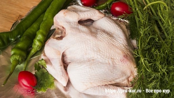 Мясо птицы — глупые мифы и реальные факты