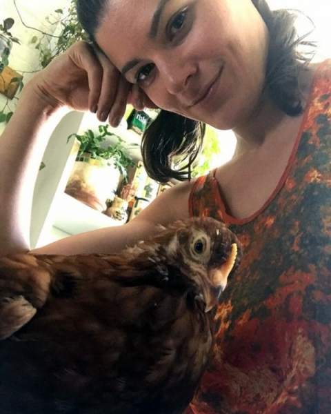 Курица живет в квартире — фото и карьера несушки фотомодели