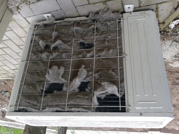 Дезинфекция вентиляционных систем: необходимость проведения и актуальные методики Дезинфекция вентиляционных систем: необходимость проведения и актуальные методики