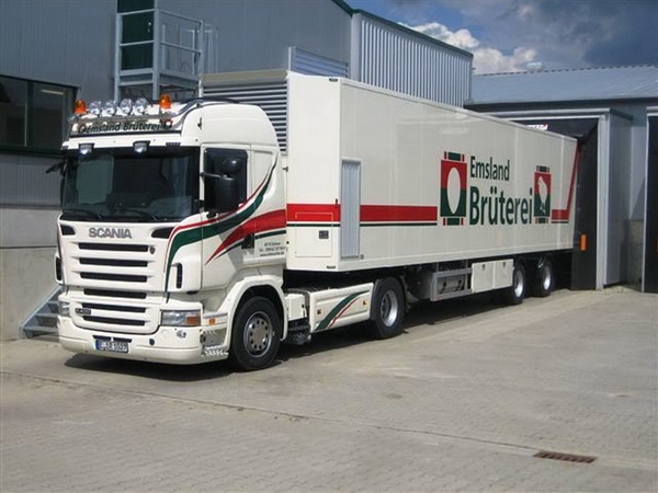 О перевозке цыплят в Таджикистан